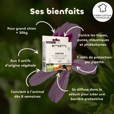 Pipettes anti-insectes pour grand chien bio bienfaits