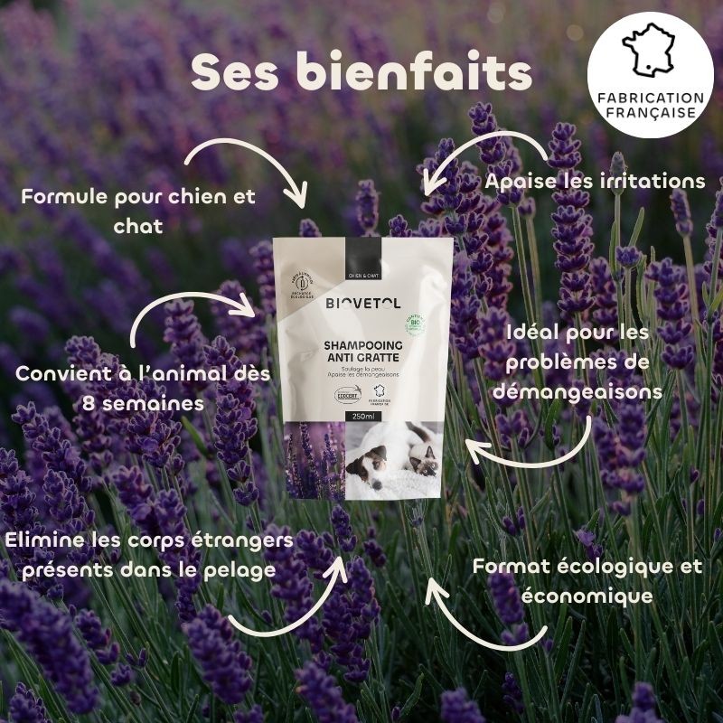 Recharge Shampooing Anti-Gratte Chien et Chat bio – Peau sensible et démangeaisons bienfaits