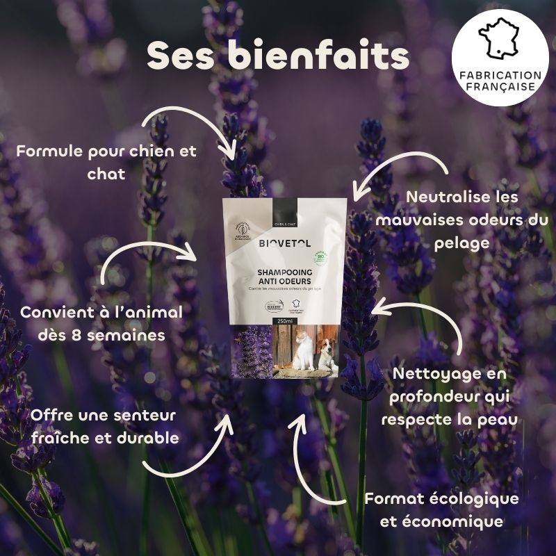 Recharge Shampooing Anti-Odeurs pour Chien et Chat bio bienfaits
