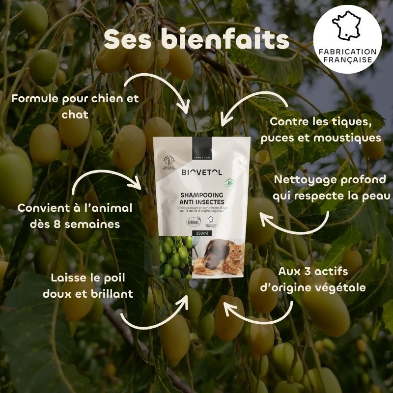 Biovetol Recharge Shampooing Anti-Insectes