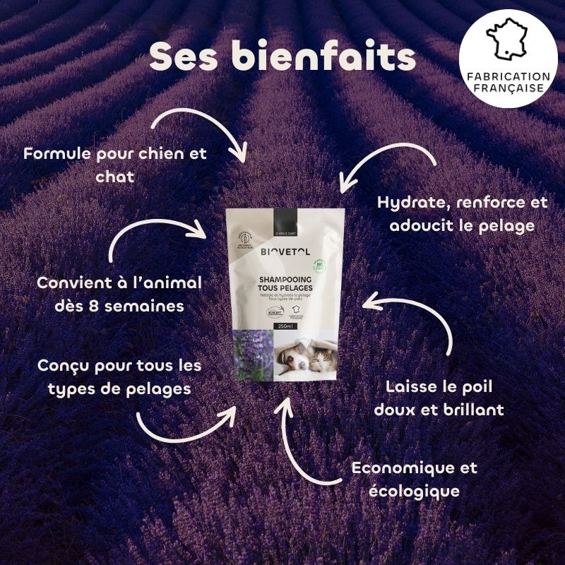 Recharge Shampooing Tous Pelages pour Chien et Chat bio bienfaits