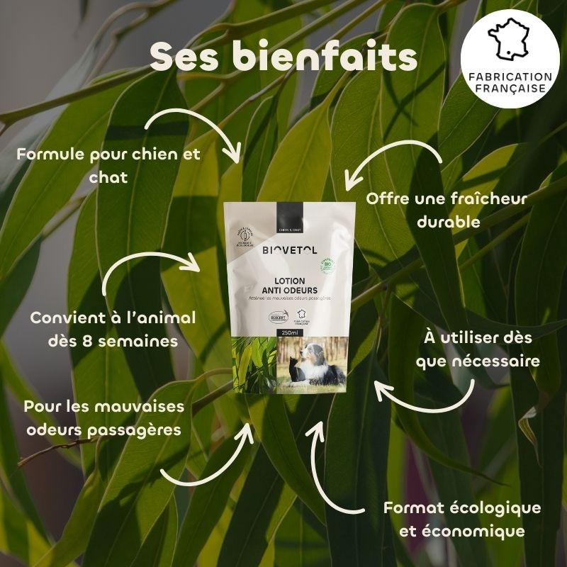 Recharge Lotion Anti-Odeurs pour Chien et Chat bio bienfaits