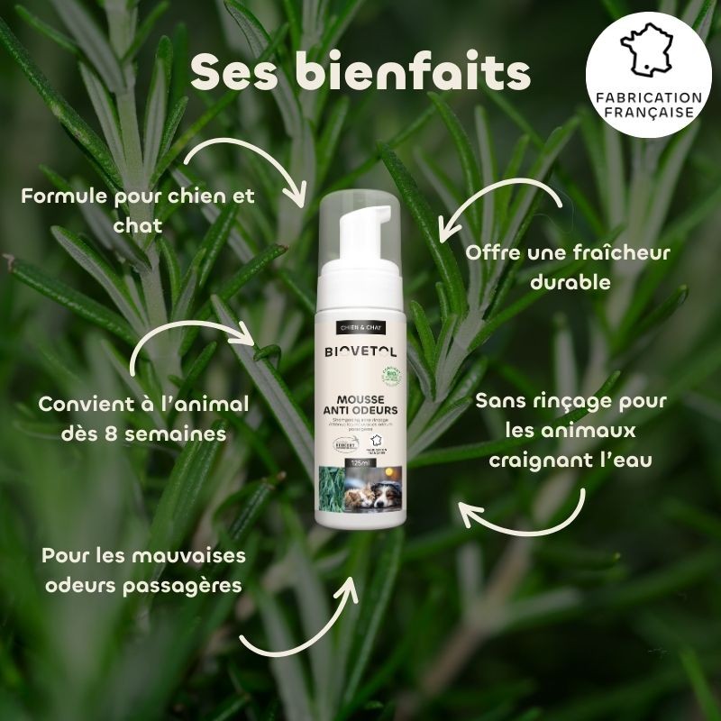 Shampooing Sec Anti-Odeurs pour Chien et Chat – Mousse Sans Rinçage bio bienfaits