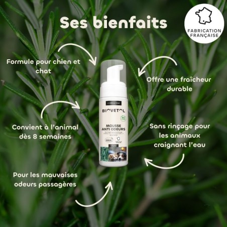 Shampooing Sec Anti-Odeurs pour Chien et Chat – Mousse Sans Rinçage bio bienfaits