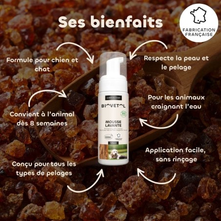 Mousse Lavante pour Chien et Chat – Shampooing Sec Sans Rinçage bio bienfaits