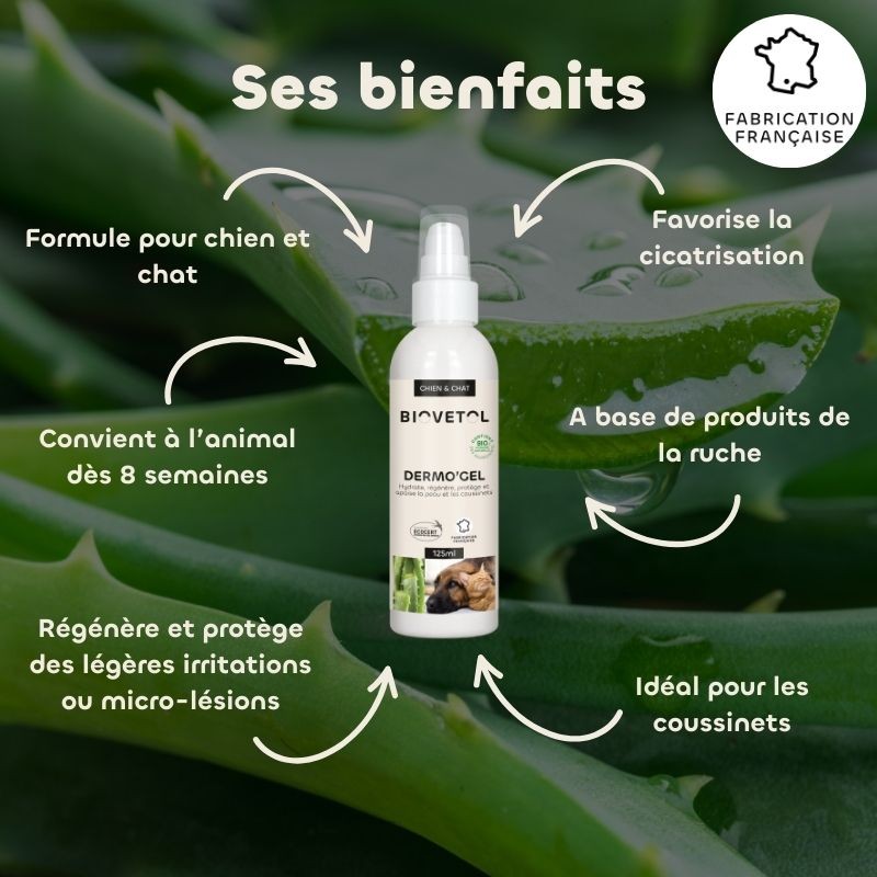 Dermo'Gel Apaisant pour Chien et Chat bio – Peau irritée et démangeaisons bienfaits