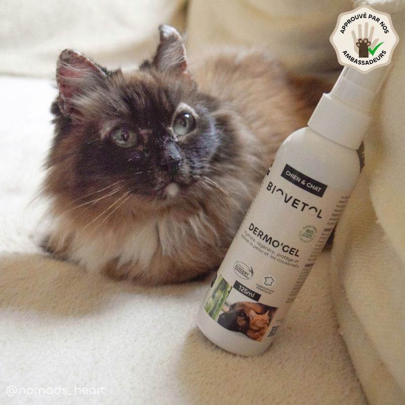 Dermo'Gel Apaisant pour Chien et Chat bio – Peau irritée et démangeaisons ambassadeur chat