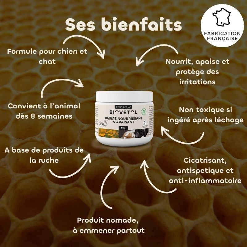 Baume Apaisant pour Chien et Chat bio – Peau irritée et démangeaisons bienfaits
