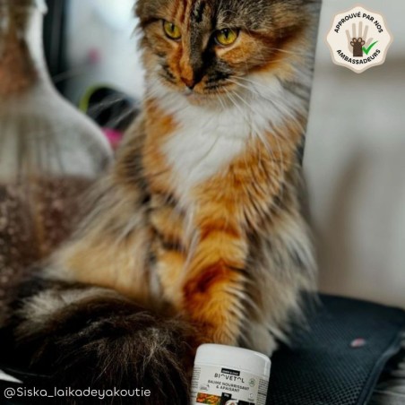 Baume Apaisant pour Chien et Chat bio – Peau irritée et démangeaisons ambassadeur chat
