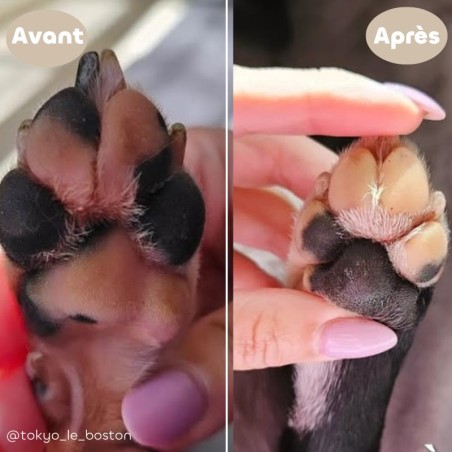 Baume Apaisant pour Chien et Chat bio – Peau irritée et démangeaisons avant après