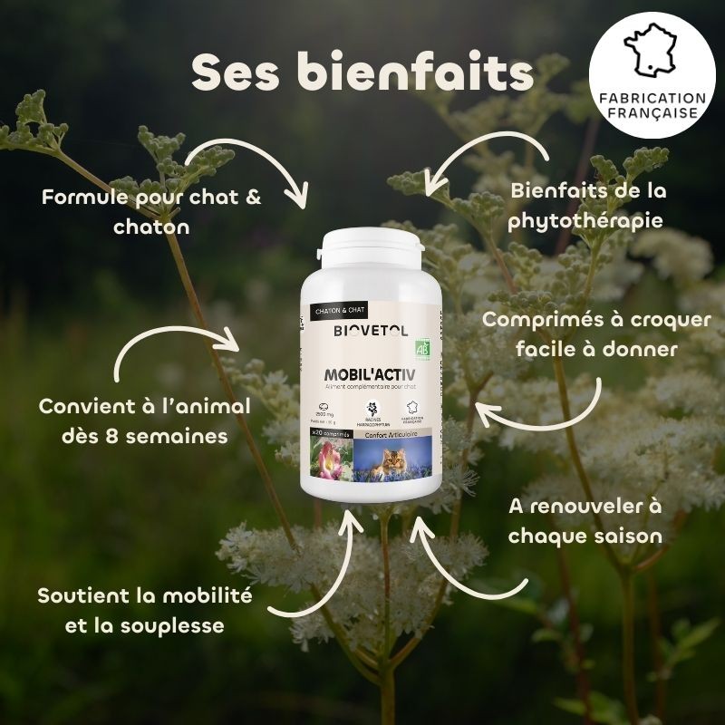 Biovetol Probiotiques bio REGUL’TRANSIT chien -10kg