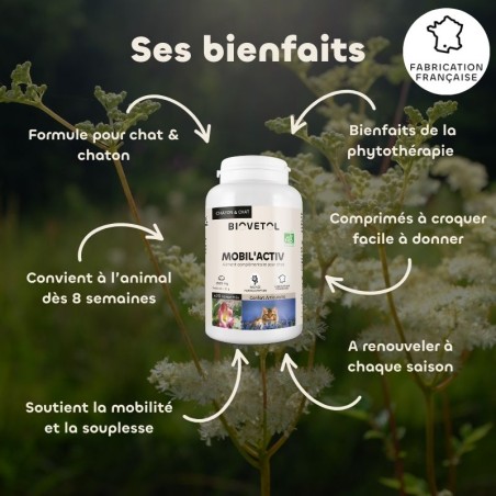 Biovetol Probiotiques bio REGUL’TRANSIT chien -10kg
