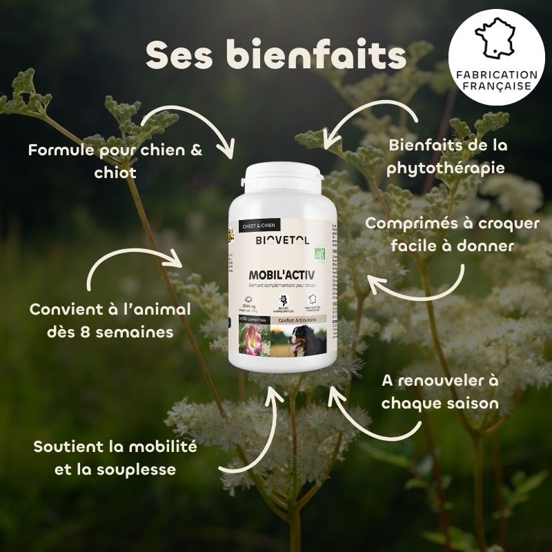 Biovetol Probiotiques bio REGUL’TRANSIT chien -10kg