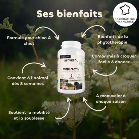 Biovetol Probiotiques bio REGUL’TRANSIT chien -10kg