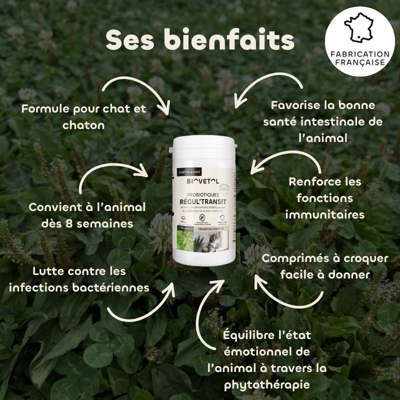 Biovetol Probiotiques bio REGUL’TRANSIT chien -10kg