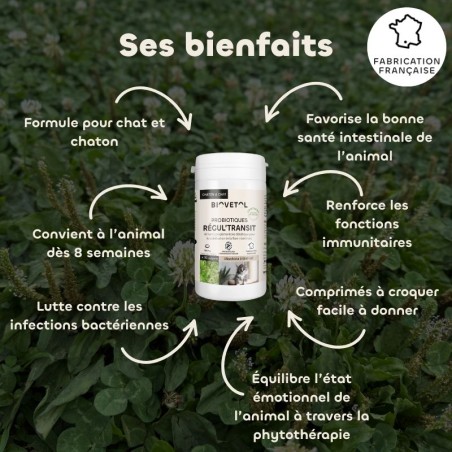 Biovetol Probiotiques bio REGUL’TRANSIT chien -10kg