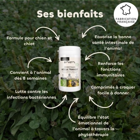 Biovetol Probiotiques bio REGUL’TRANSIT Chien +10kg