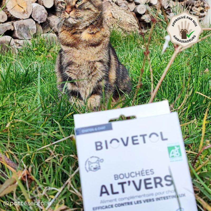 copy of Poudre ALT'VERS Grand chat Bio***