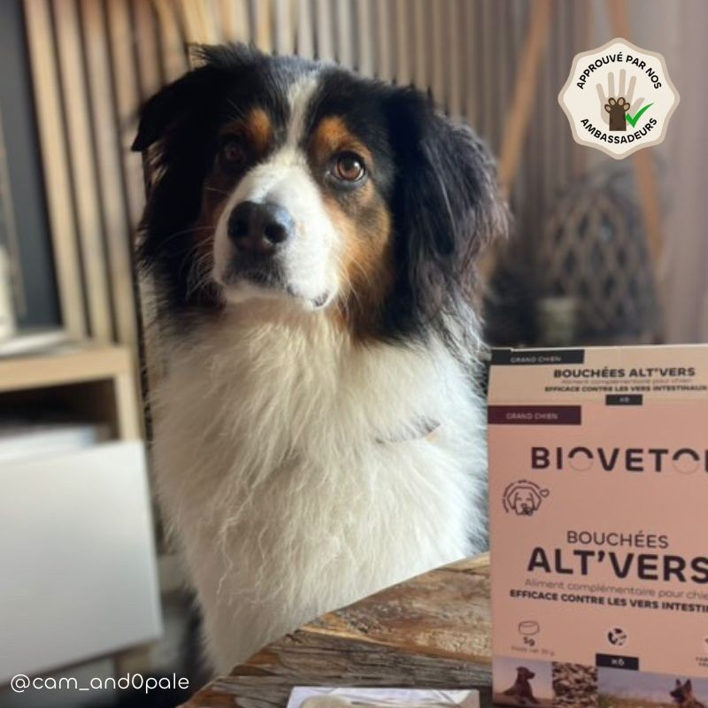 copy of Poudre ALT'VERS Grand Chien Bio***