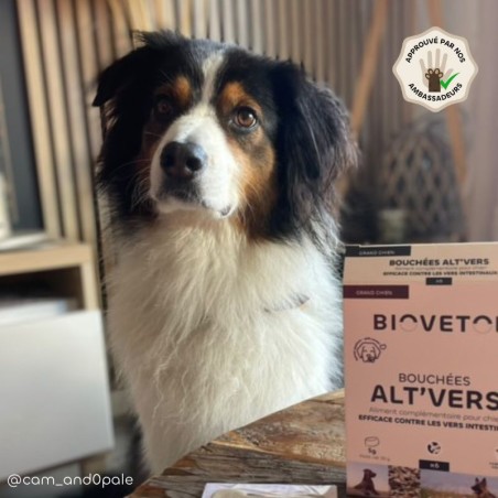 copy of Poudre ALT'VERS Grand Chien Bio***