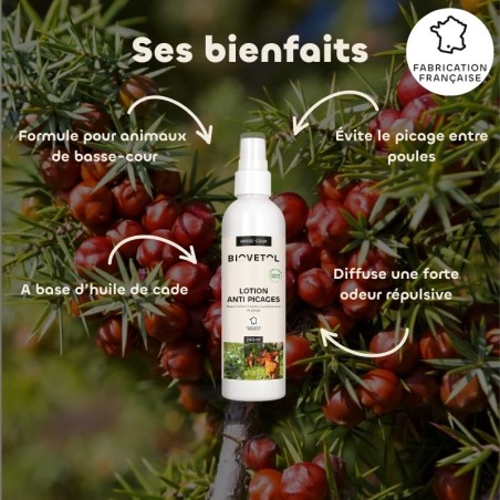 Lotion Anti-Picage pour Poules bienfaits