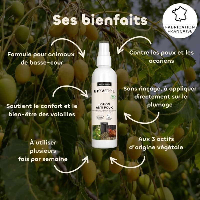 Lotion Anti-Poux et Anti-Acariens pour Poules bio bienfaits