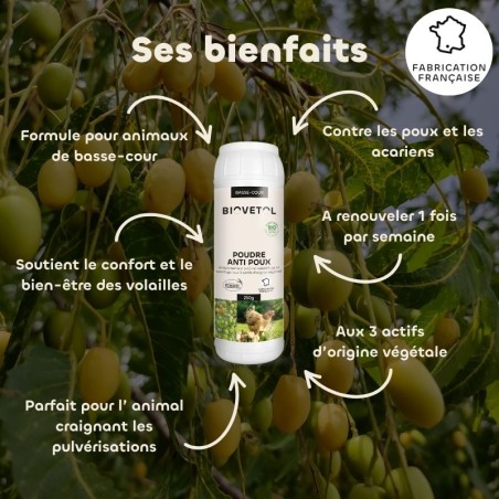 Poudre Anti-Poux et Anti-Acariens pour Poules bio bienfaits