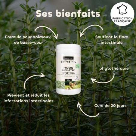 Poudre Bien-Être Intestinal pour Animaux de Basse-Cour bienfaits