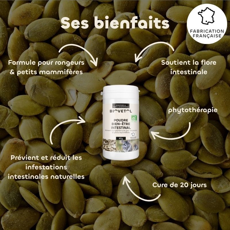 Poudre Bien-Être Intestinal pour Rongeurs et Petits Mammifères bio bienfaits