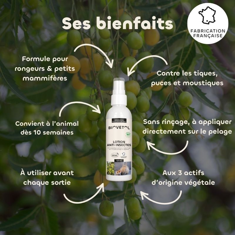 Lotion Anti-Insectes Rongeurs et Petits Mammifères bio bienfaits