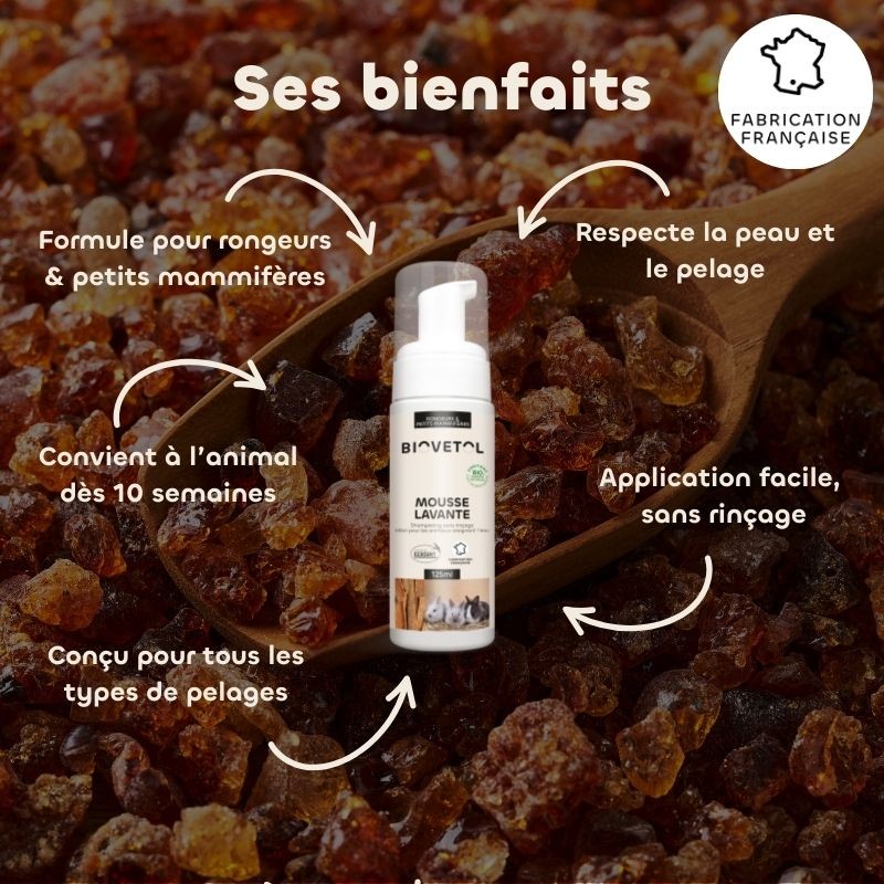Mousse lavante pelage rongeurs et petits mammifères bio bienfaits