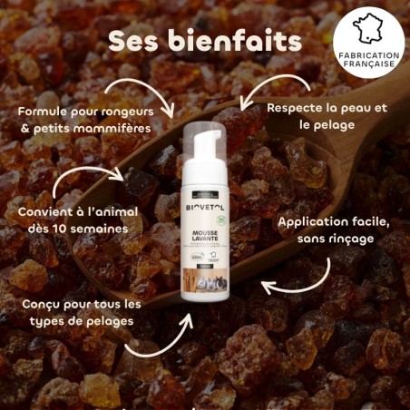 Mousse lavante pelage rongeurs et petits mammifères bio bienfaits