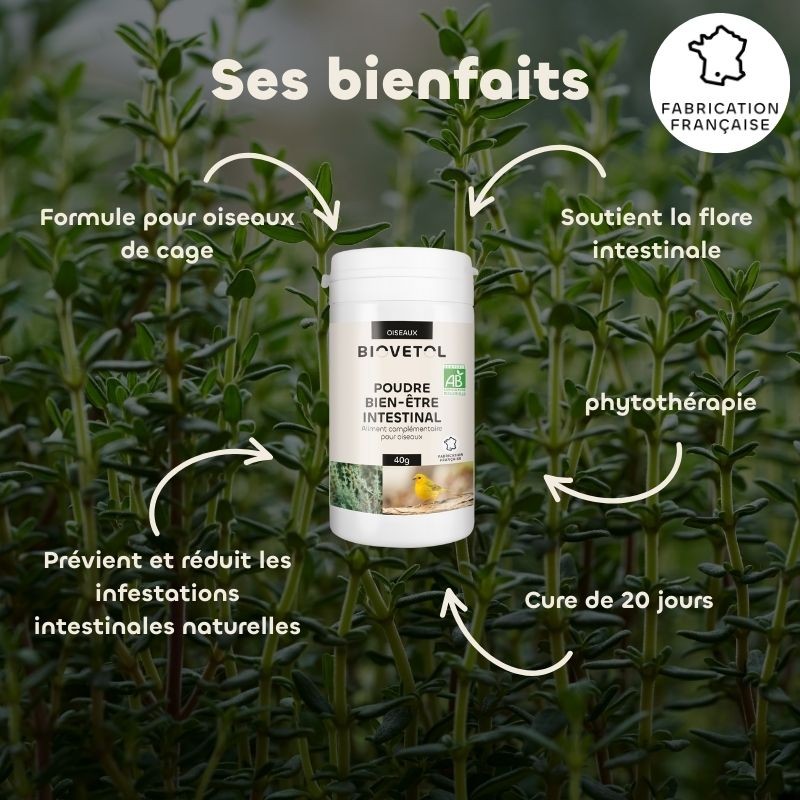Poudre Bien-Être Intestinal pour Oiseaux bio bienfaits