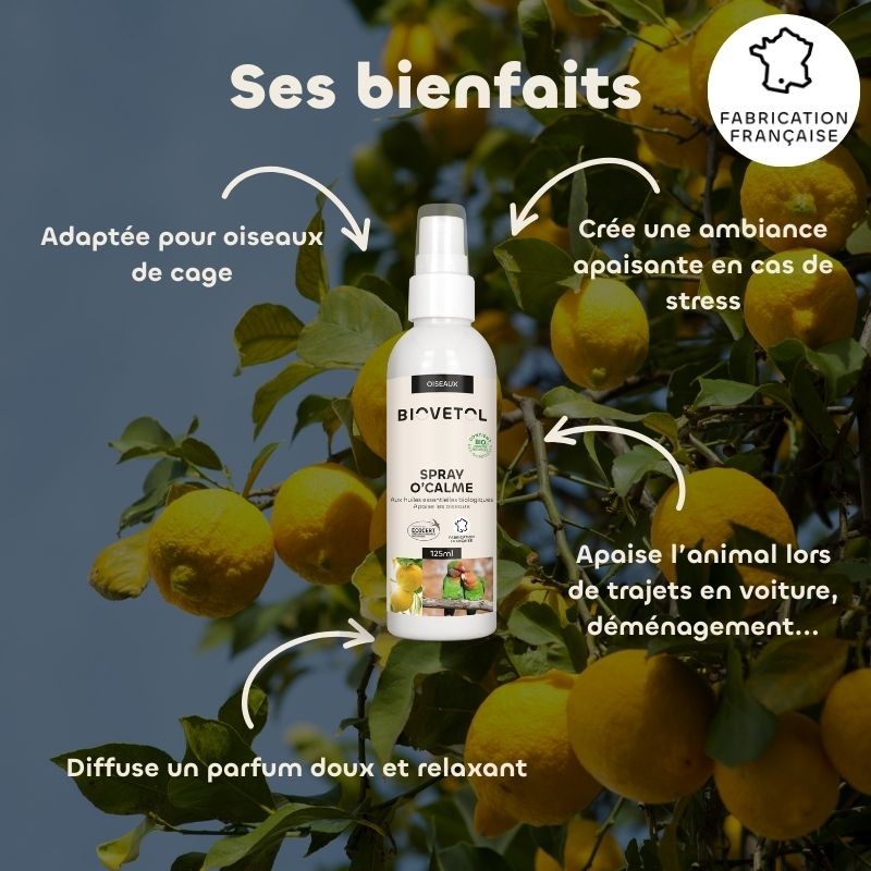 Spray O’Calme Oiseaux BIO – Parfum d’Ambiance Relaxant bio bienfaits