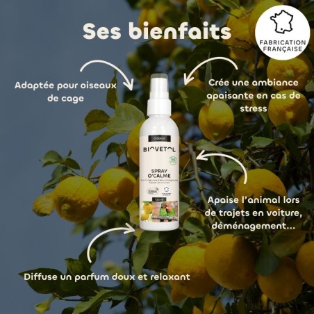 Spray O’Calme Oiseaux BIO – Parfum d’Ambiance Relaxant bio bienfaits