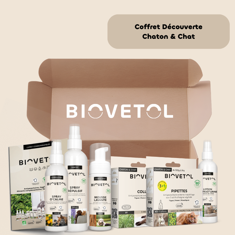 Coffret Chaton & Chat BIOVETOL – Kit de Soins et d’Hygiène