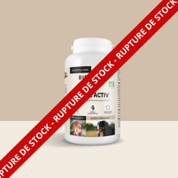 RUPTURE DE STOCK -...