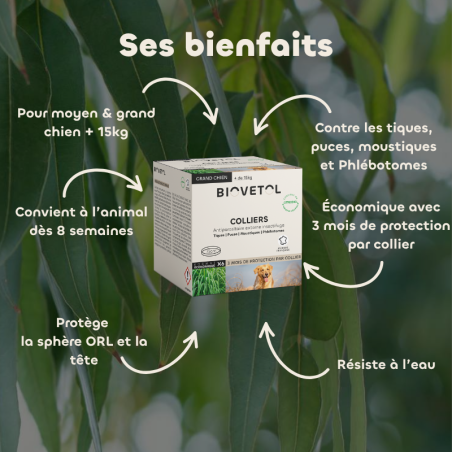 Lot de 6 colliers anti-insectes pour grand chien – Format économique bienfaits