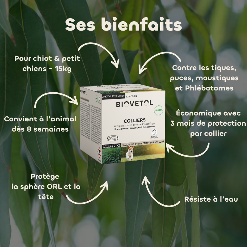 Lot de 6 colliers anti-insectes pour chiot et petit chien – Format économique bienfaits