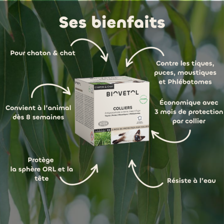 Lot de 6 colliers anti-insectes pour chat – Format économique les bienfaits