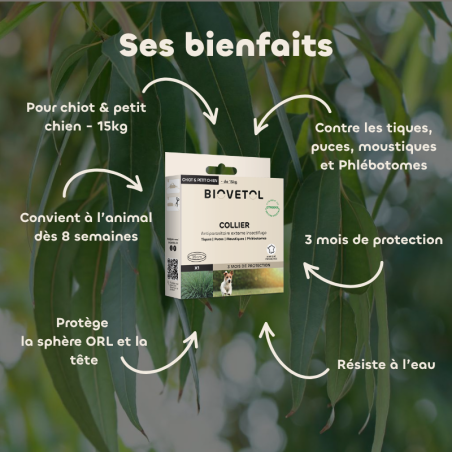 Collier anti-insectes Chiot & Petit Chien bienfaits
