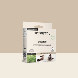 Collier anti-insectes pour chat