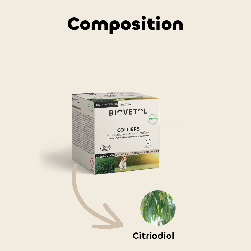 Lot de 6 colliers anti-insectes pour chiot et petit chien – Format économique composition