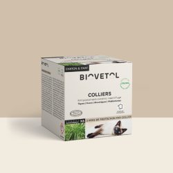 Lot de 6 colliers anti-insectes pour chat – Format économique