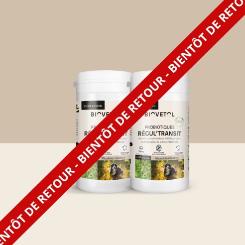 Biovetol Probiotiques bio REGUL’TRANSIT Chien +10kg