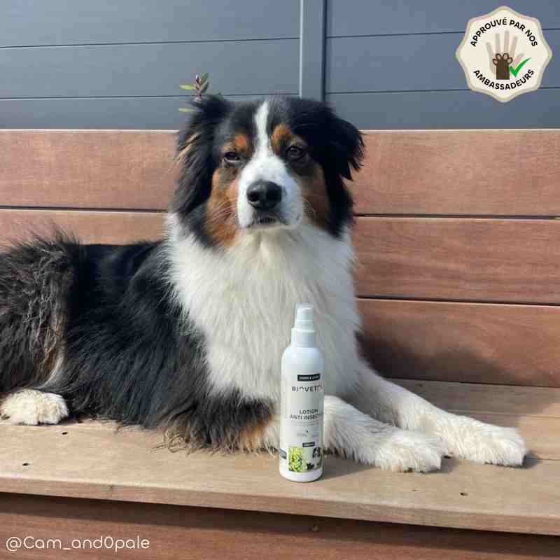 Biovetol - Spray antiparasitaire pour chien et chat bio