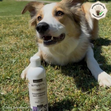 Shampooing Anti-Démangeaisons pour Chien et Chat bio personnalisé ambassadeur