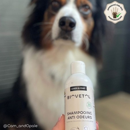Shampooing Anti-Odeur pour Chien & Chat Bio ambassadeur