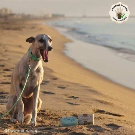 Shampooing Solide Anti-Odeurs pour Chien et Chat bio ambassadeur chien