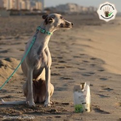 Recharge Lotion anti insectes Bio 2